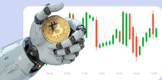 dashboard view of the Route Payline cryptocurrency exchange platform